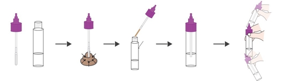 Тест гемоглобина легкого монитора уровня сахара в крови деятельности Glycosylated (HbA1C) обнажает (зарегистрированный CE сухого химического метода)